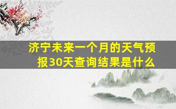 济宁未来一个月的天气预报30天查询结果是什么