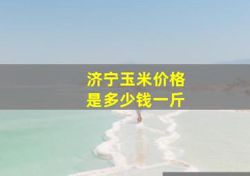 济宁玉米价格是多少钱一斤