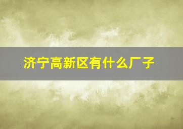 济宁高新区有什么厂子