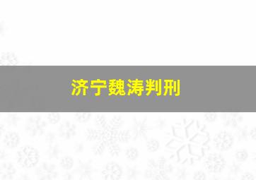 济宁魏涛判刑