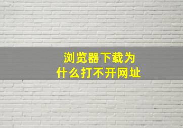 浏览器下载为什么打不开网址