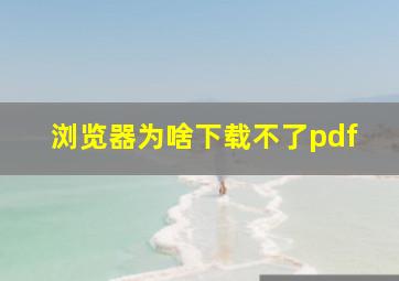 浏览器为啥下载不了pdf