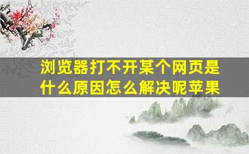 浏览器打不开某个网页是什么原因怎么解决呢苹果