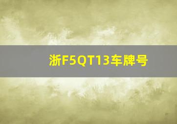 浙F5QT13车牌号