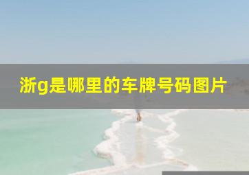 浙g是哪里的车牌号码图片