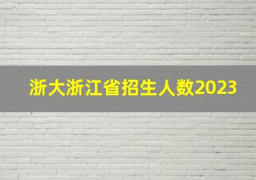 浙大浙江省招生人数2023