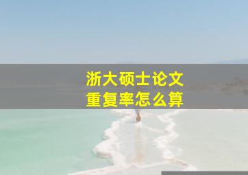 浙大硕士论文重复率怎么算