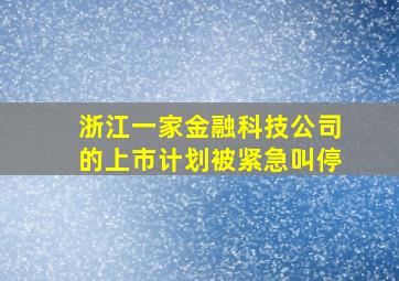 浙江一家金融科技公司的上市计划被紧急叫停