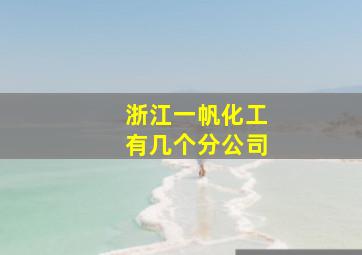 浙江一帆化工有几个分公司