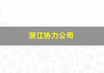 浙江协力公司