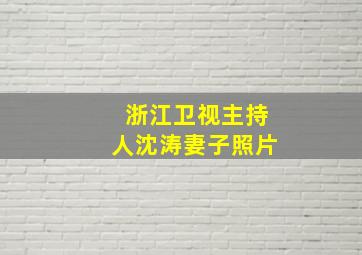 浙江卫视主持人沈涛妻子照片