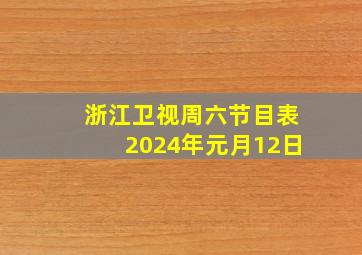 浙江卫视周六节目表2024年元月12日