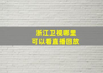 浙江卫视哪里可以看直播回放