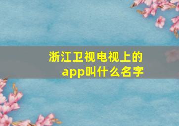 浙江卫视电视上的app叫什么名字