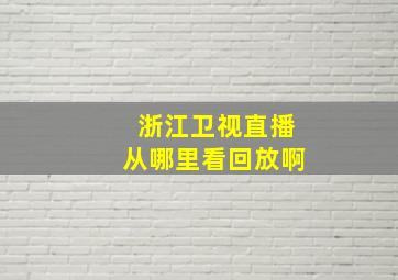 浙江卫视直播从哪里看回放啊