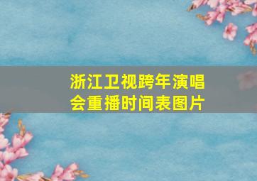 浙江卫视跨年演唱会重播时间表图片