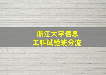 浙江大学信息工科试验班分流