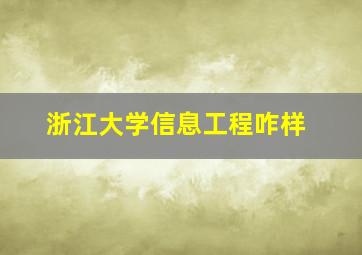 浙江大学信息工程咋样