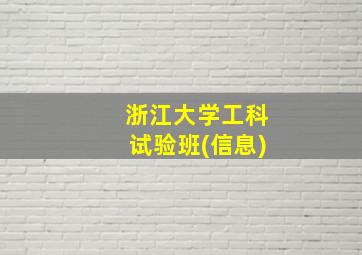 浙江大学工科试验班(信息)