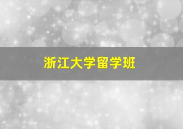 浙江大学留学班