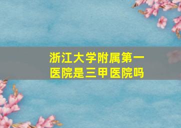 浙江大学附属第一医院是三甲医院吗