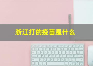 浙江打的疫苗是什么