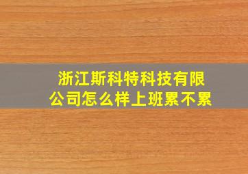 浙江斯科特科技有限公司怎么样上班累不累