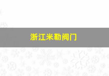 浙江米勒阀门