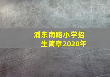 浦东南路小学招生简章2020年