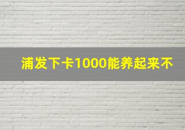 浦发下卡1000能养起来不