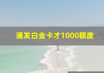 浦发白金卡才1000额度