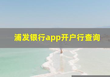 浦发银行app开户行查询