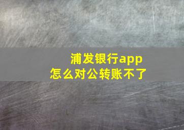 浦发银行app怎么对公转账不了