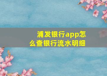 浦发银行app怎么查银行流水明细