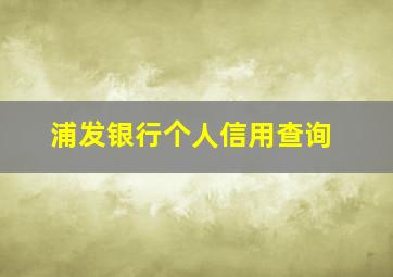 浦发银行个人信用查询