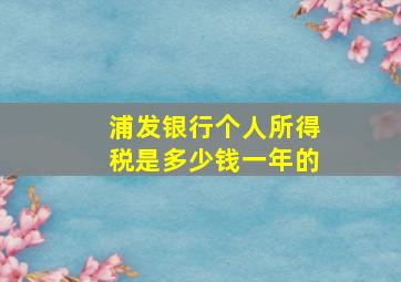 浦发银行个人所得税是多少钱一年的