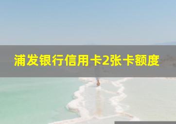 浦发银行信用卡2张卡额度