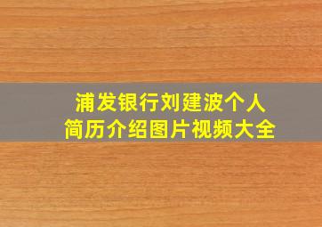 浦发银行刘建波个人简历介绍图片视频大全