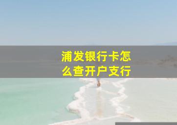 浦发银行卡怎么查开户支行