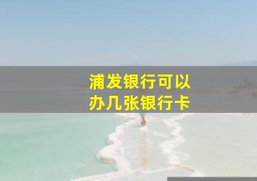 浦发银行可以办几张银行卡