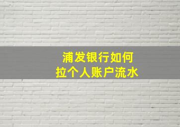 浦发银行如何拉个人账户流水