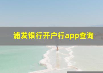 浦发银行开户行app查询