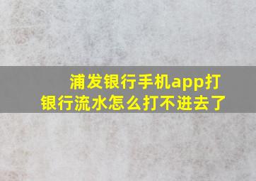 浦发银行手机app打银行流水怎么打不进去了