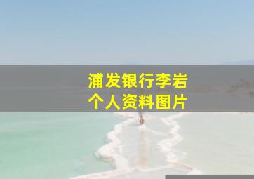 浦发银行李岩个人资料图片