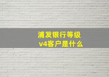 浦发银行等级v4客户是什么