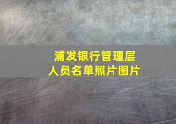 浦发银行管理层人员名单照片图片