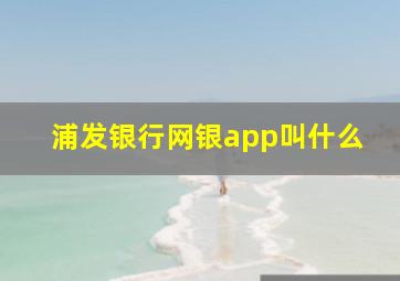 浦发银行网银app叫什么