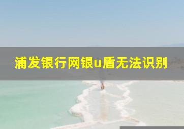 浦发银行网银u盾无法识别