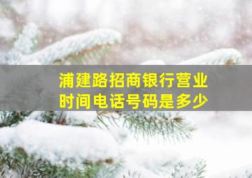 浦建路招商银行营业时间电话号码是多少