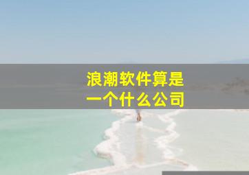 浪潮软件算是一个什么公司